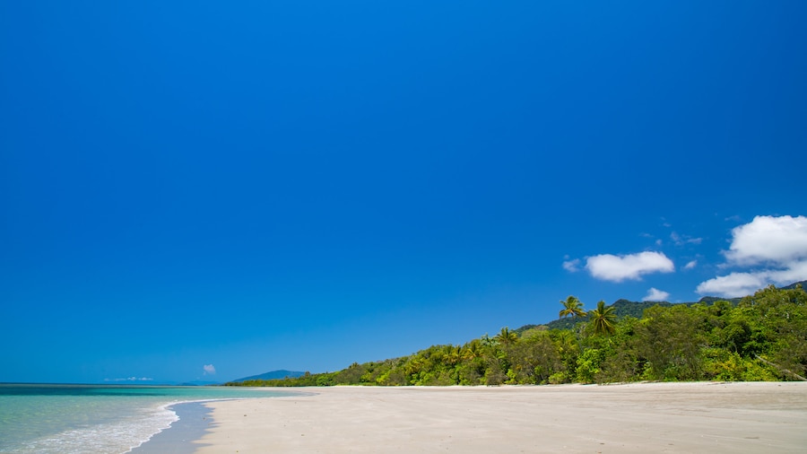 Myall Beach