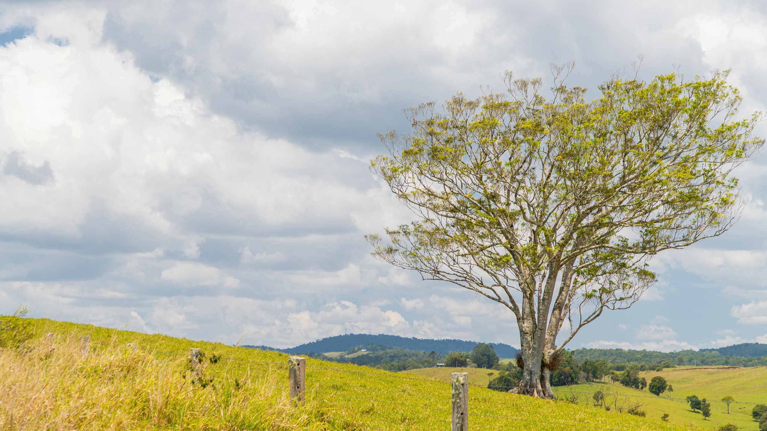 Atherton Tablelands, AU cheap holiday from AU 90/night