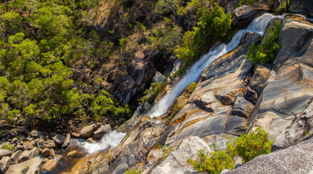 Davies Creek National Park showing a waterfall