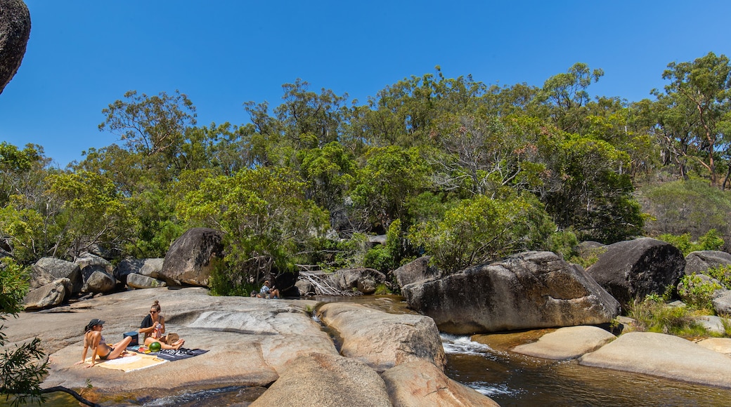 Davies Creek National Park