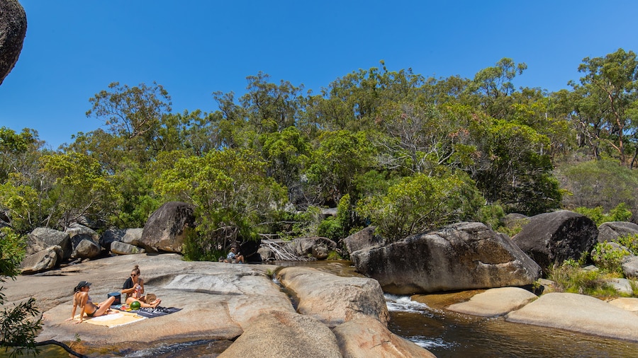 Davies Creek National Park