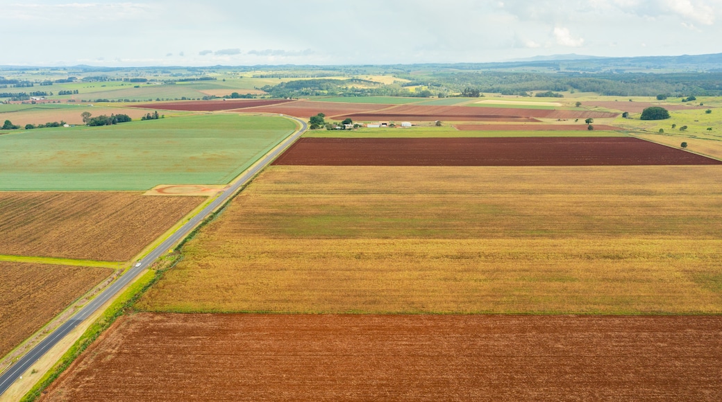 Atherton showing farmland and landscape views