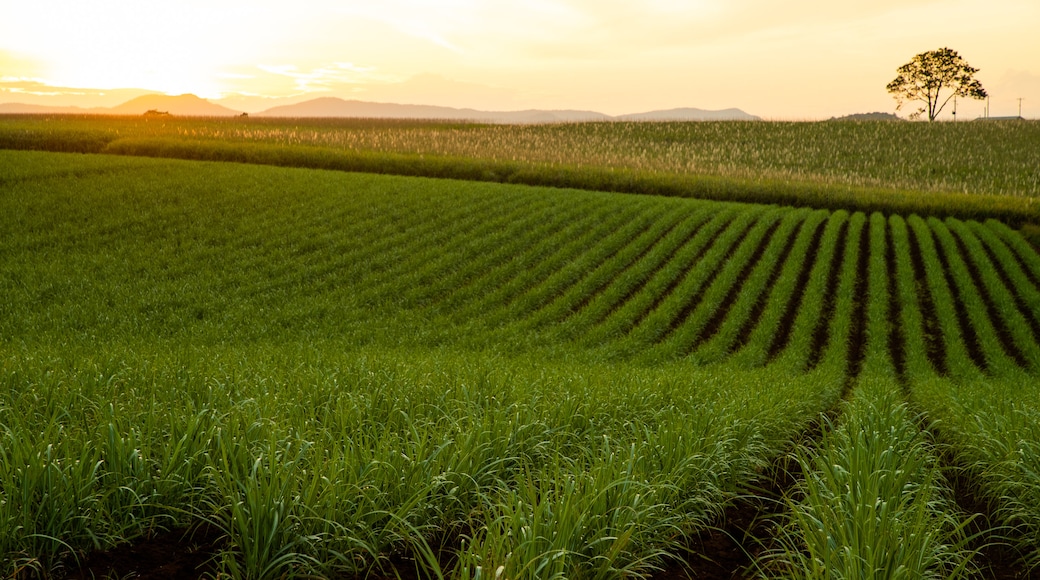 Crater Lakes National Park showing a sunset, landscape views and farmland