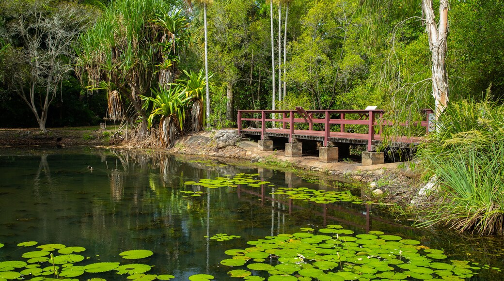 Centenary Lakes Botanic Gardens featuring a pond