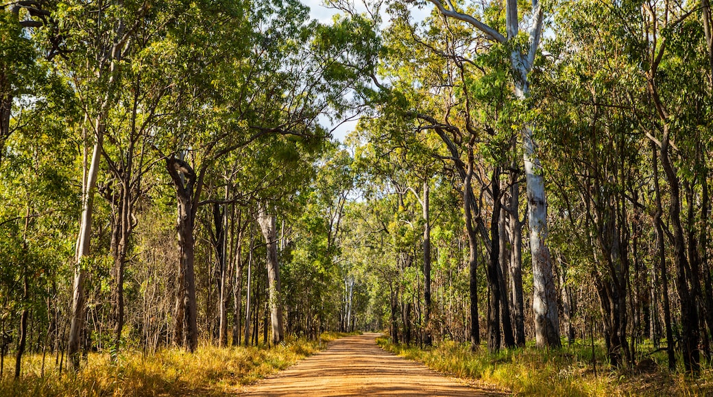 Millstream Falls National Park