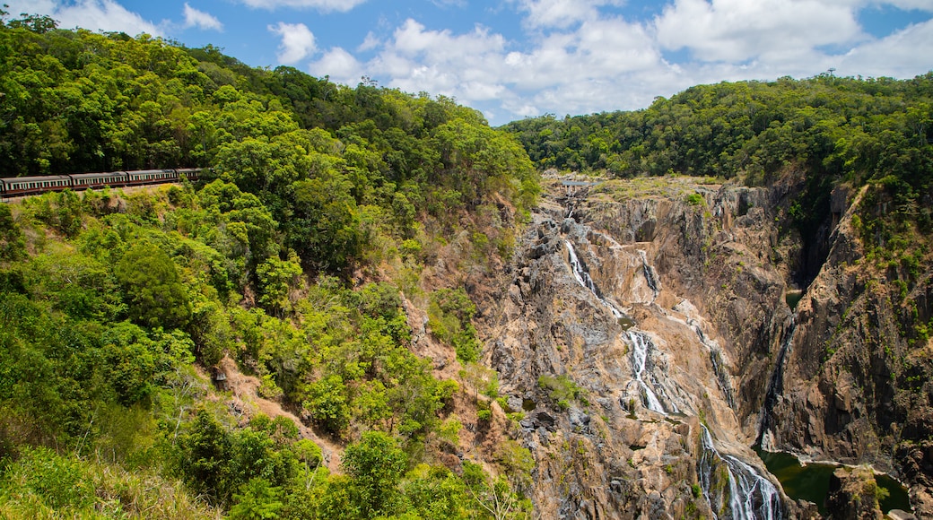 Barron Falls Lookout showing a waterfall