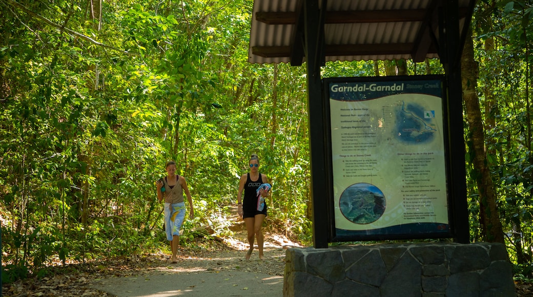 Kuranda National Park