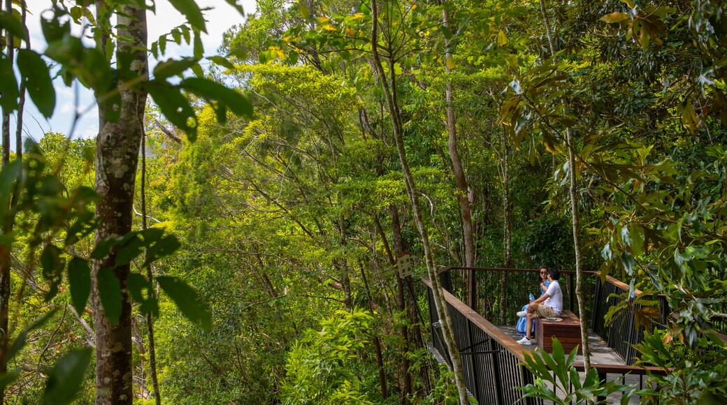 Kuranda National Park