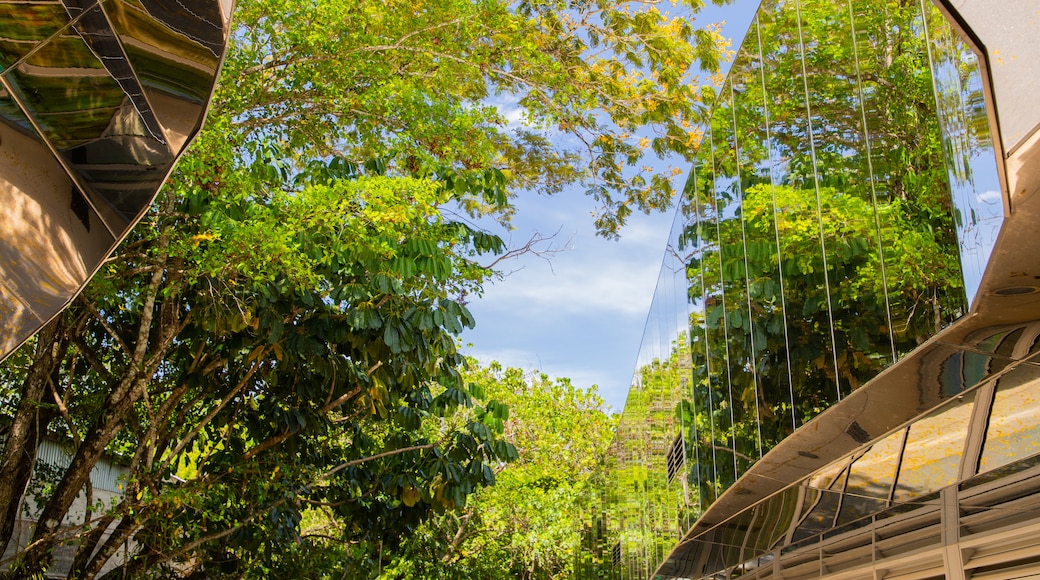 Centenary Lakes Botanic Gardens featuring a park