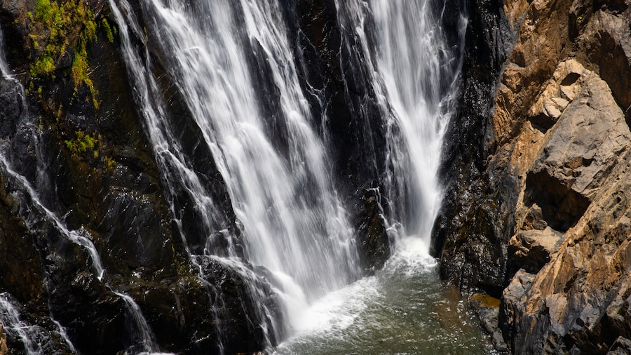 Point de vue de Barron Falls