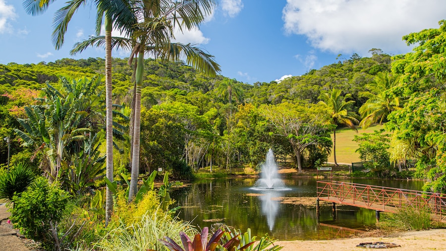 Parc naturel de Rainforestation