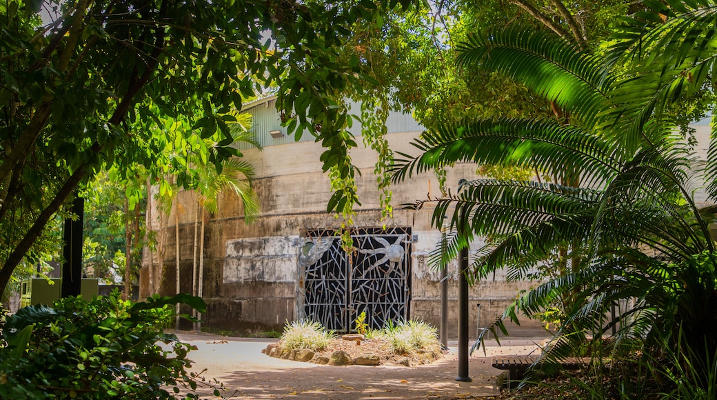 Centenary Lakes Botanic Gardens showing a garden