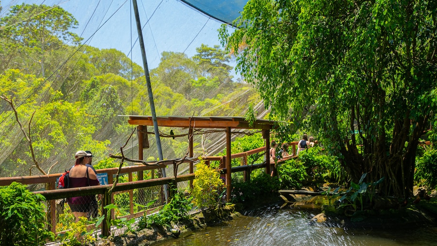 Birdworld Kuranda
