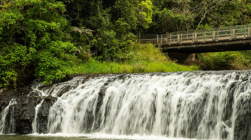 Malanda Falls