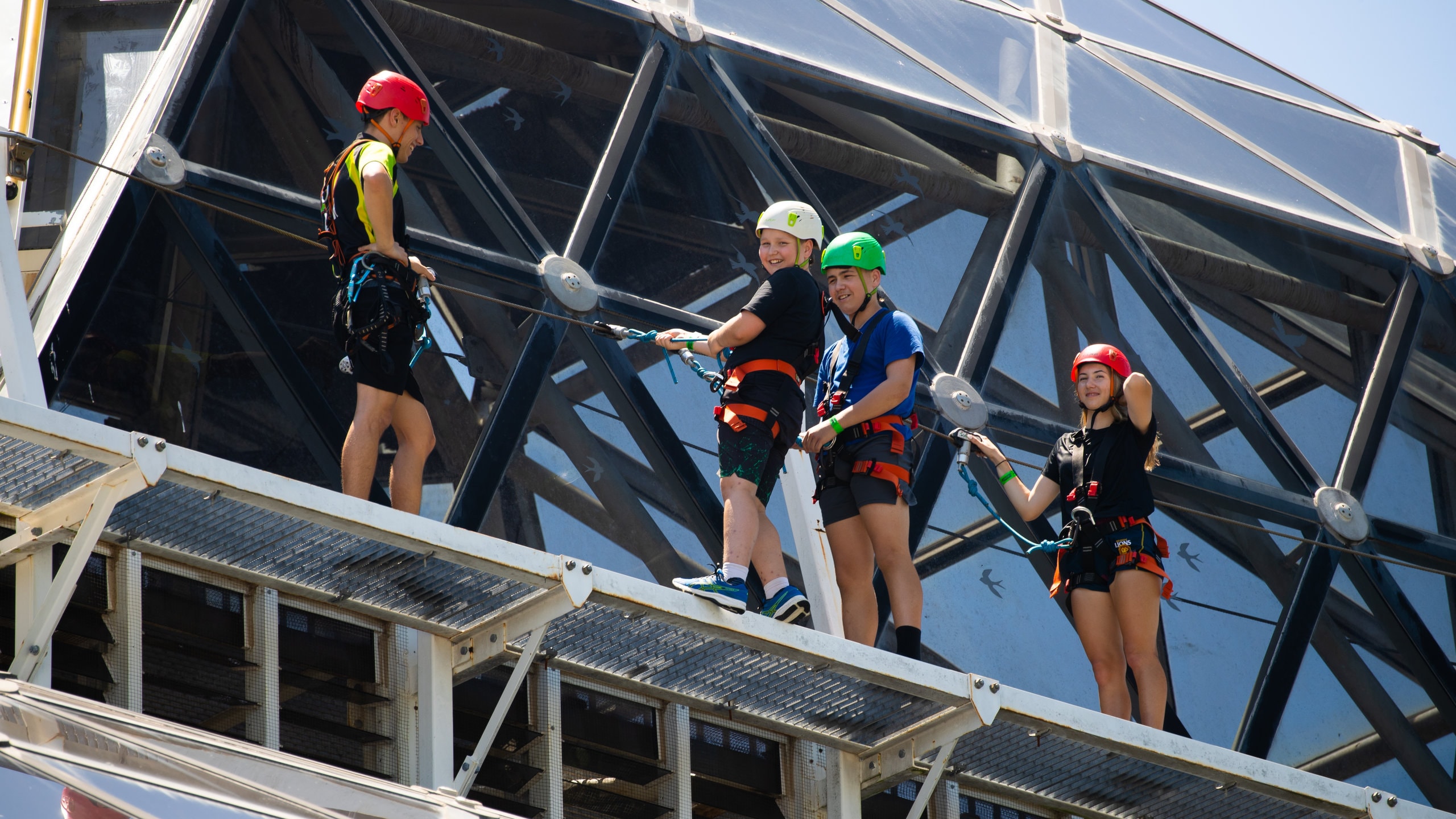 Cairns Zoom and Wildlife Dome featuring zip lining as well as children