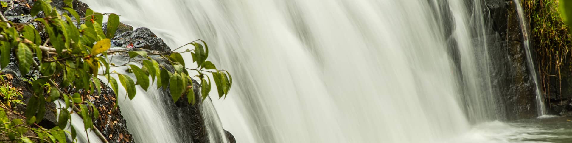 Malanda Falls featuring a river or creek and a waterfall