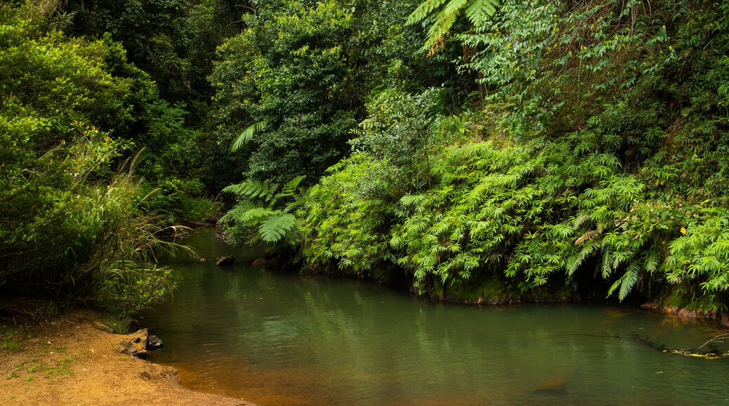 Malanda Falls