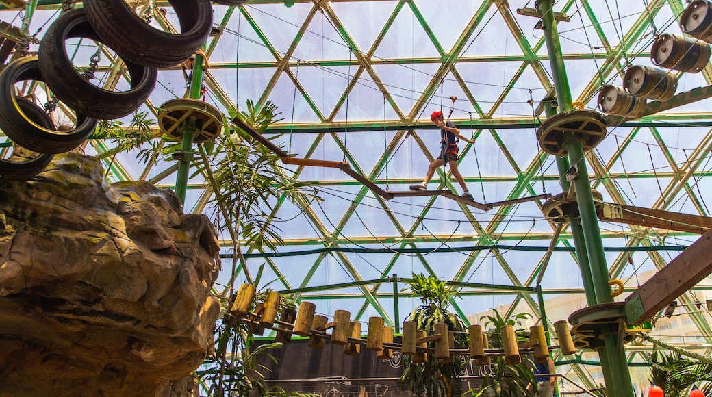 Cairns Zoom and Wildlife Dome