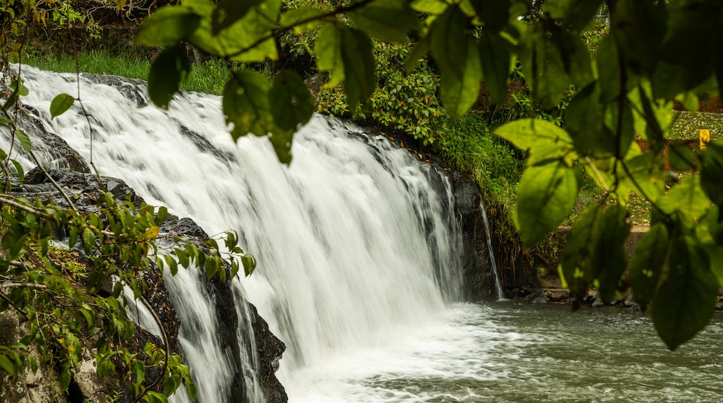 Malanda Falls