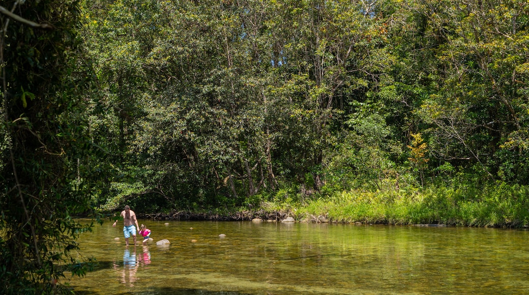 Babinda Boulders which includes swimming, a pond and a lake or waterhole