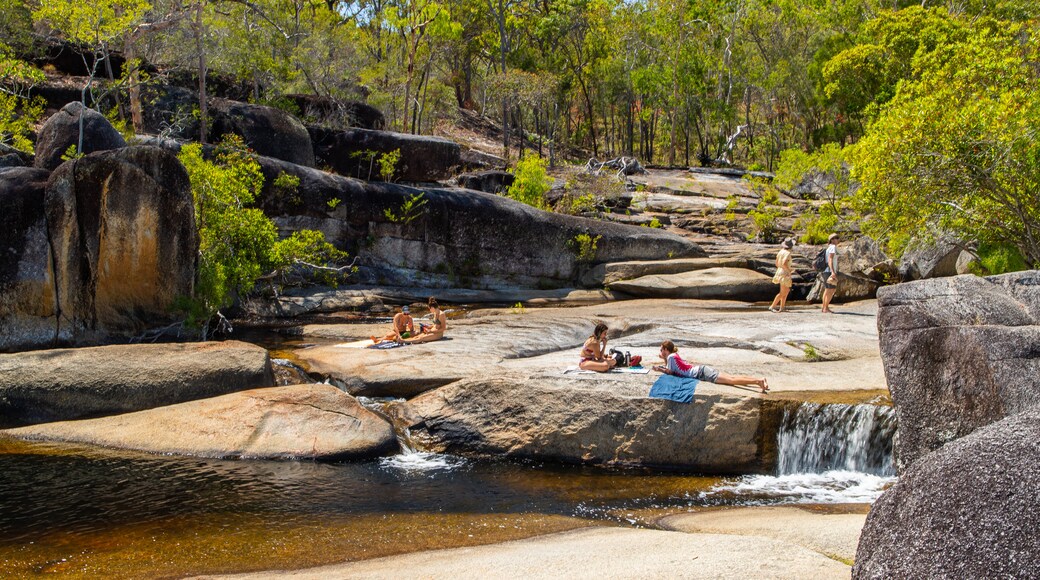 Davies Creek National Park showing a river or creek as well as a small group of people