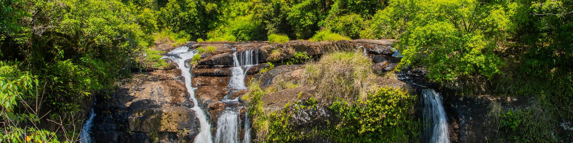 Wooroonooran National Park showing a waterfall