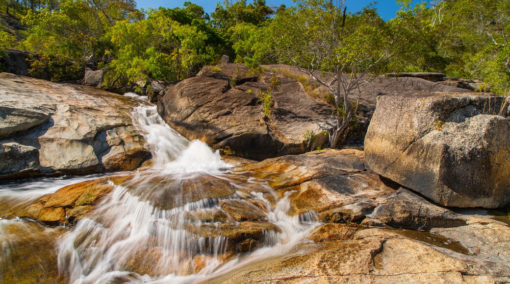 Davies Creek National Park showing a river or creek