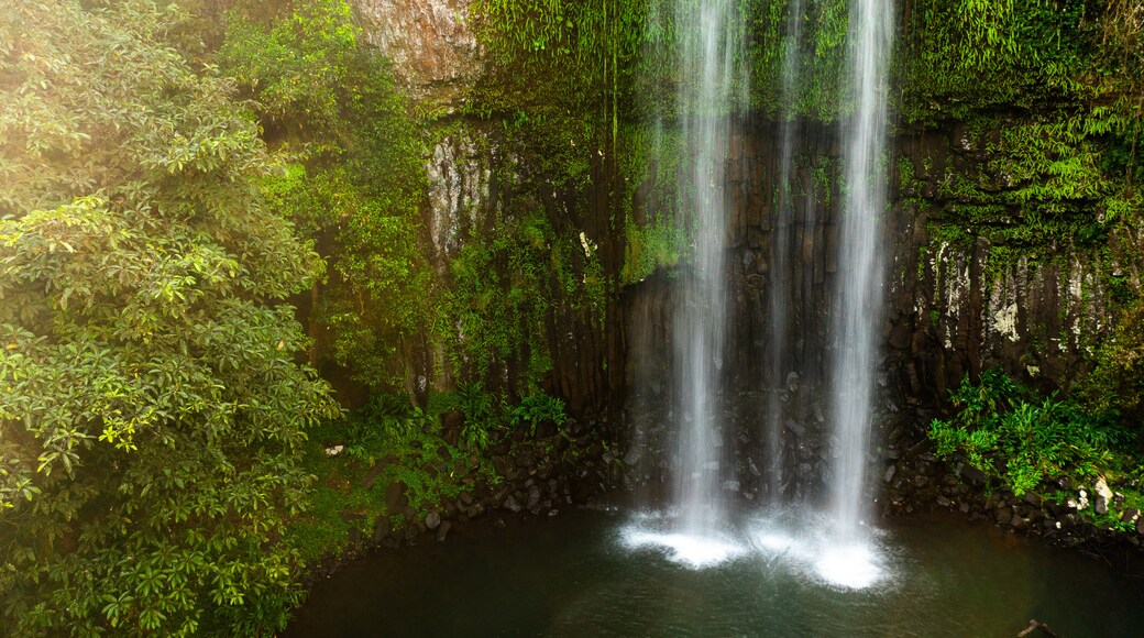 Millaa Millaa Falls