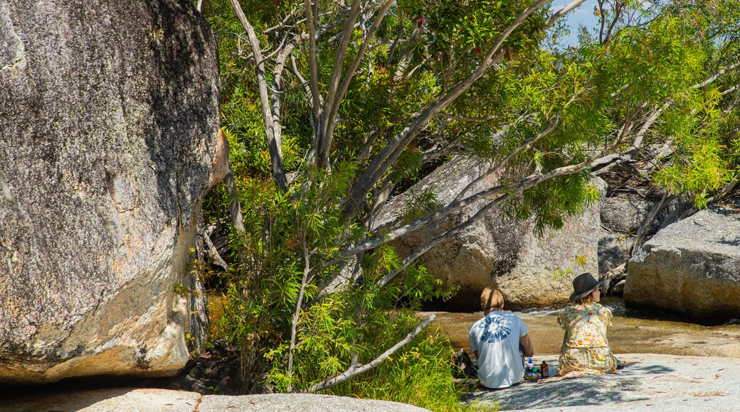 Davies Creek National Park showing a river or creek as well as a couple