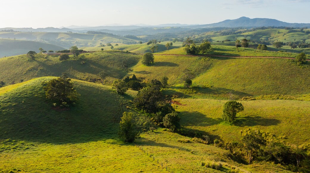 Millaa Millaa showing tranquil scenes, a sunset and landscape views