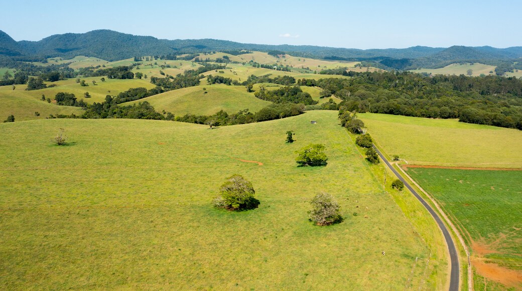 Millaa Millaa which includes landscape views and tranquil scenes