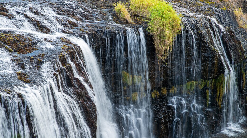 Millstream Falls National Park