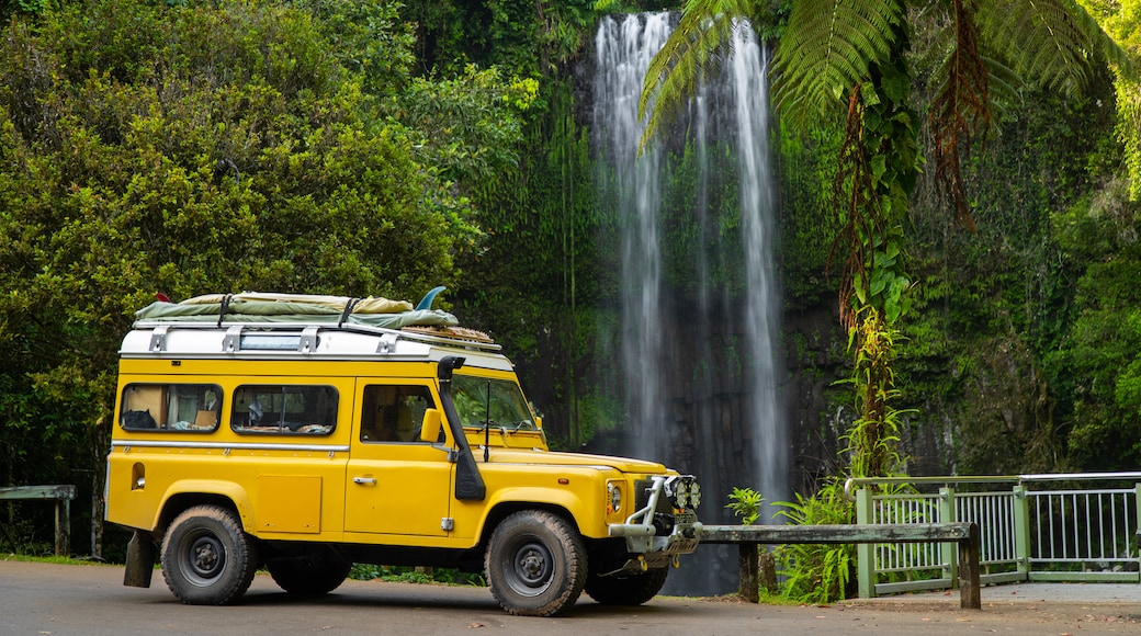 Millaa Millaa Falls which includes a cascade and 4 wheel driving