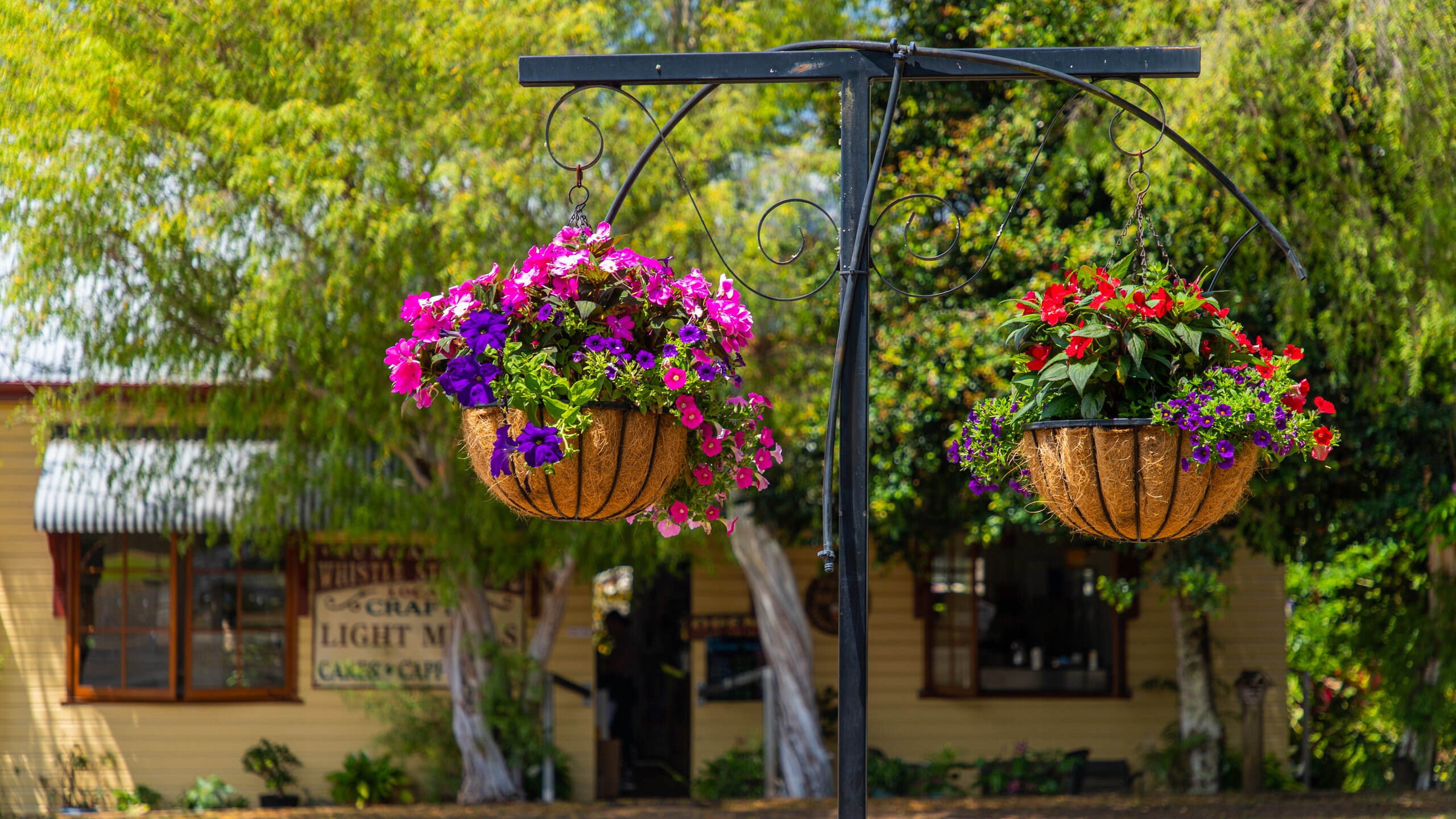 Yungaburra, QLD, AU holiday homes from NZ 141/night Bookabach