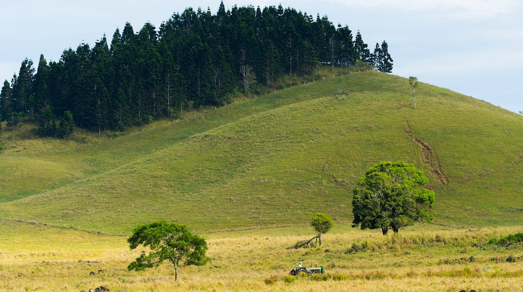 Yungaburra featuring tranquil scenes and mountains