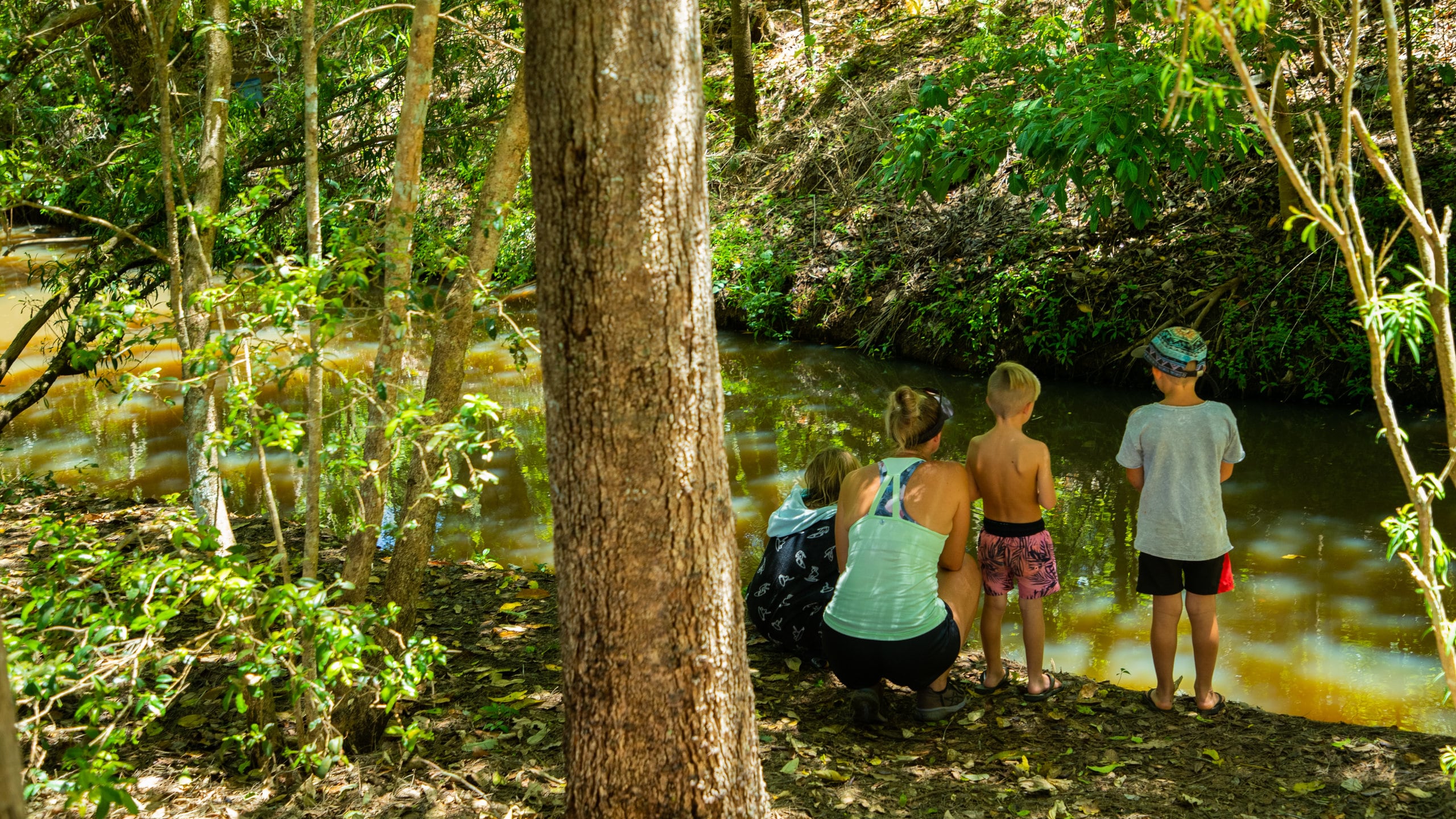 Yungaburra, QLD, AU Vacation Rentals house rentals & more Vrbo