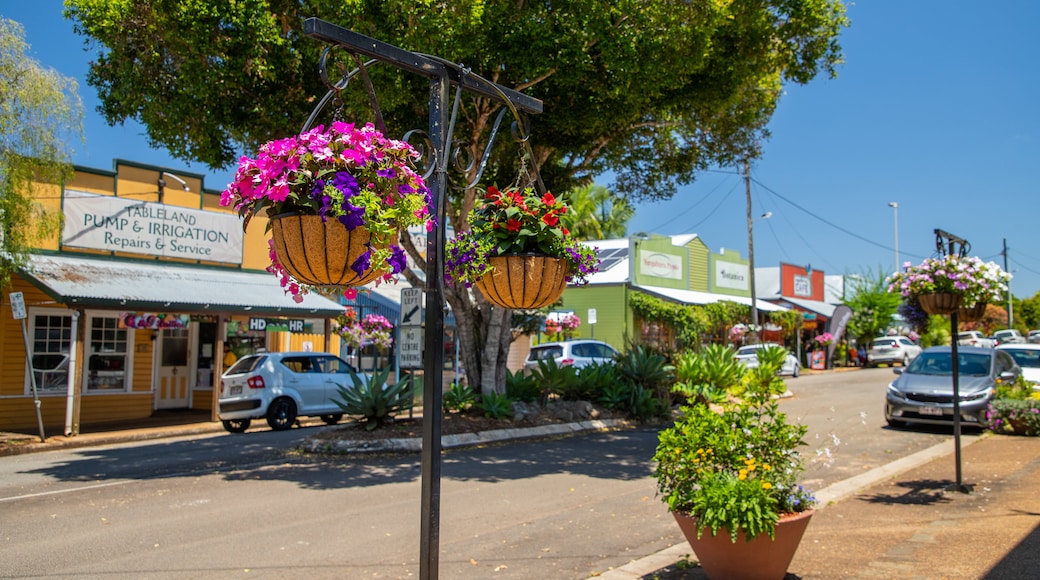 Yungaburra which includes a small town or village and flowers