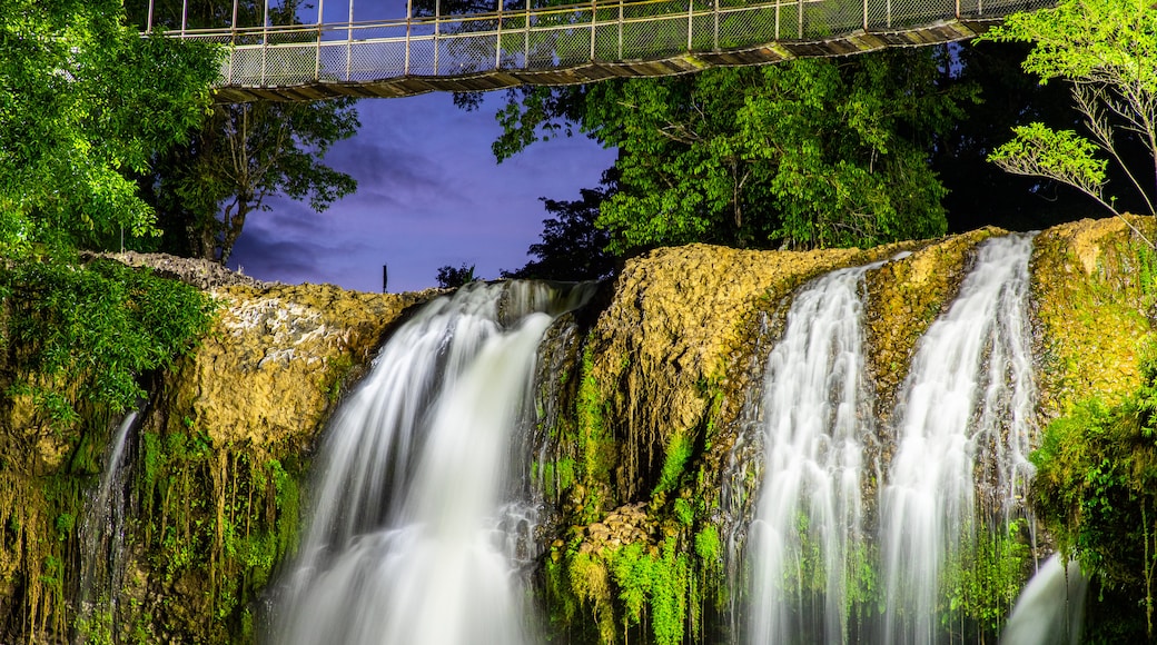 Paronella Park featuring a waterfall and night scenes