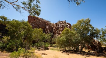 Yeperenye-Emily and Jessie Gaps Nature Park showing desert views