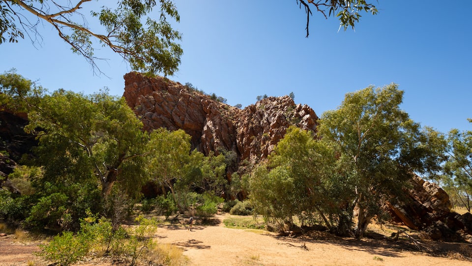 Yeperenye-Emily and Jessie Gaps Nature Park showing desert views