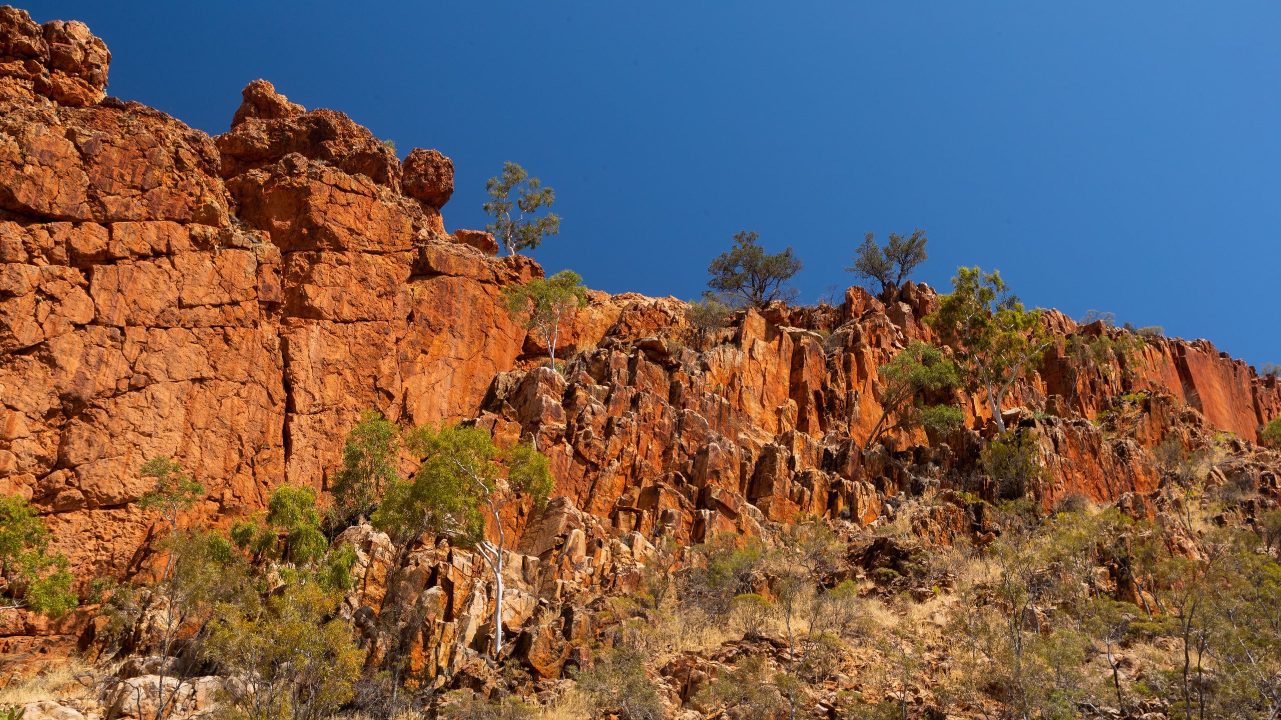 Glen Helen Gorge showing a gorge or canyon and desert views