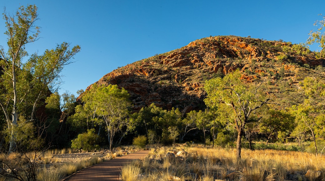 Namatjira