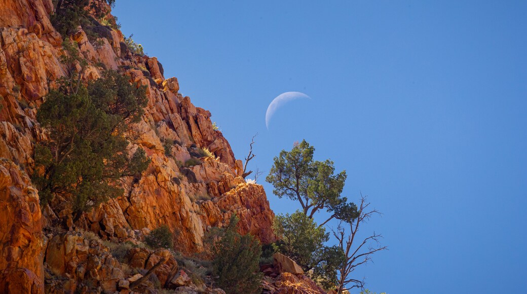 Namatjira