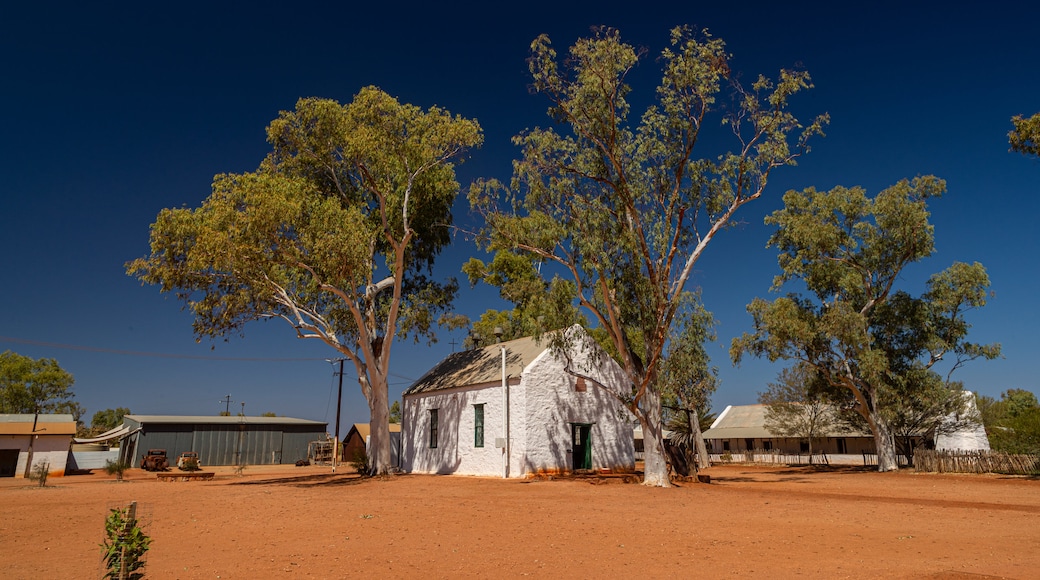 Hermannsburg showing farmland, desert views and a small town or village