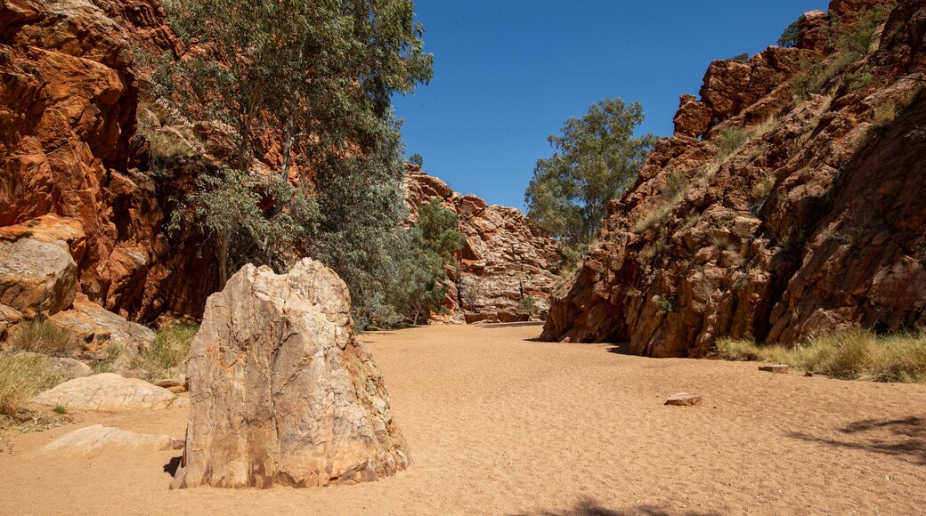 Yeperenye-Emily and Jessie Gaps Nature Park featuring desert views and a gorge or canyon