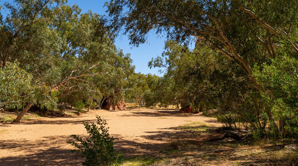 Yeperenye-Emily and Jessie Gaps Nature Park showing desert views and tranquil scenes