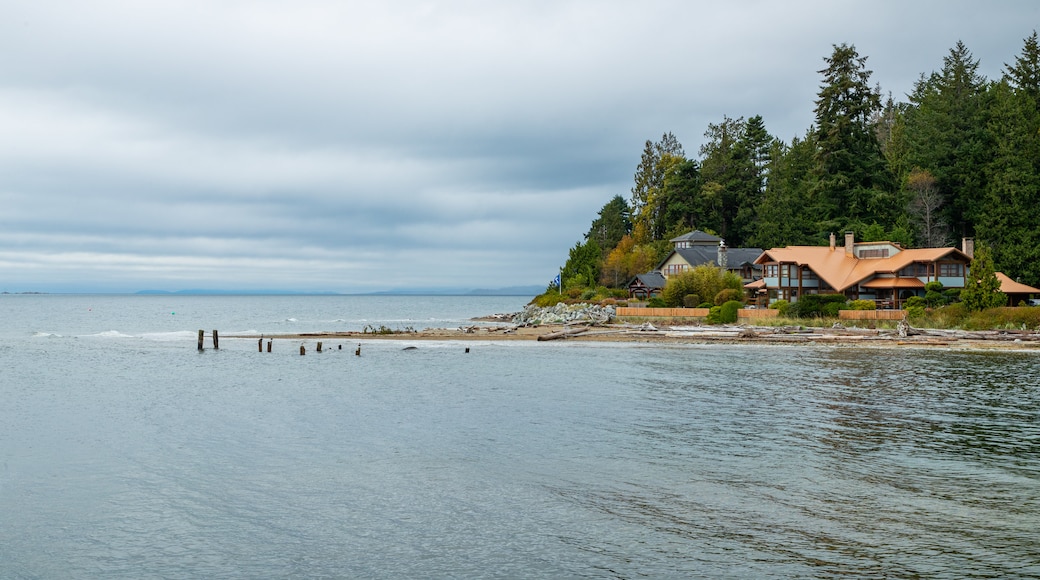 Roberts Creek showing general coastal views and a coastal town