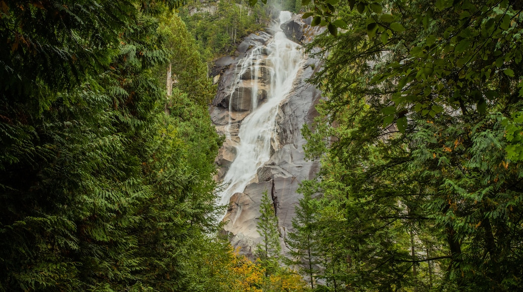 Parque provincial Shannon Falls