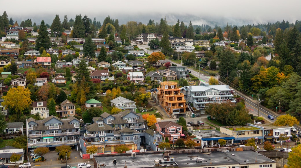 Gibsons showing landscape views and a small town or village