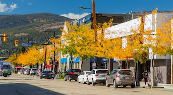 Downtown Kelowna showing a small town or village